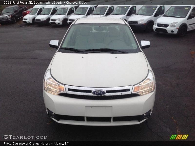 White Suede / Charcoal Black 2011 Ford Focus SEL Sedan