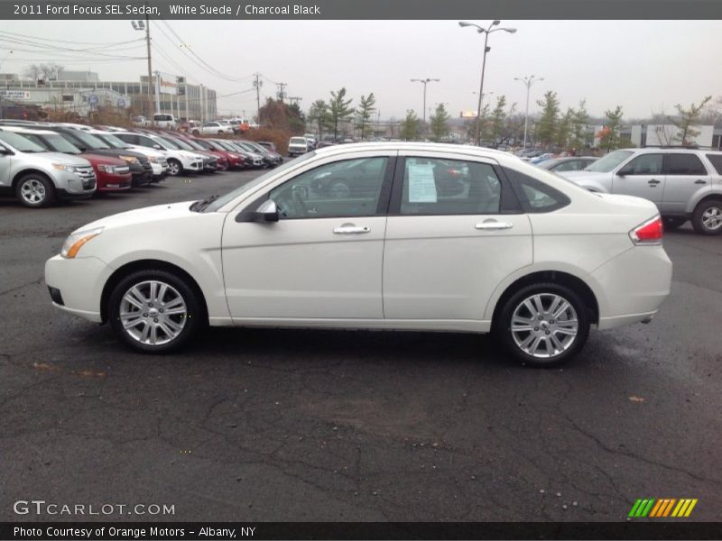 White Suede / Charcoal Black 2011 Ford Focus SEL Sedan