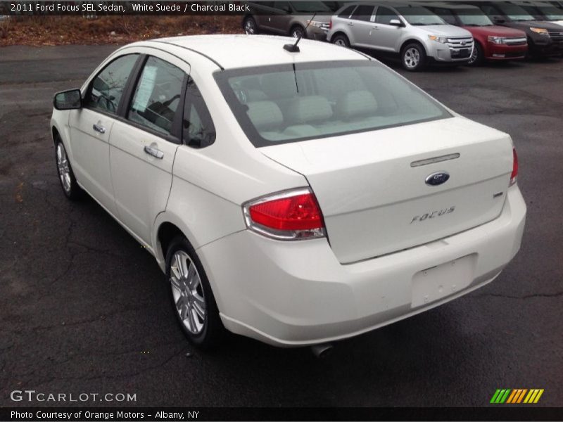 White Suede / Charcoal Black 2011 Ford Focus SEL Sedan