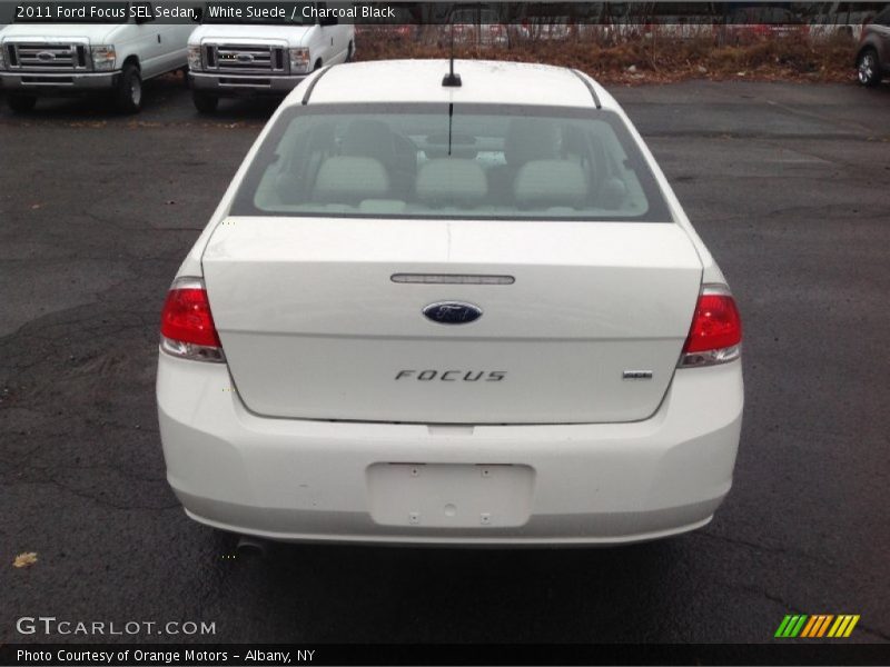 White Suede / Charcoal Black 2011 Ford Focus SEL Sedan