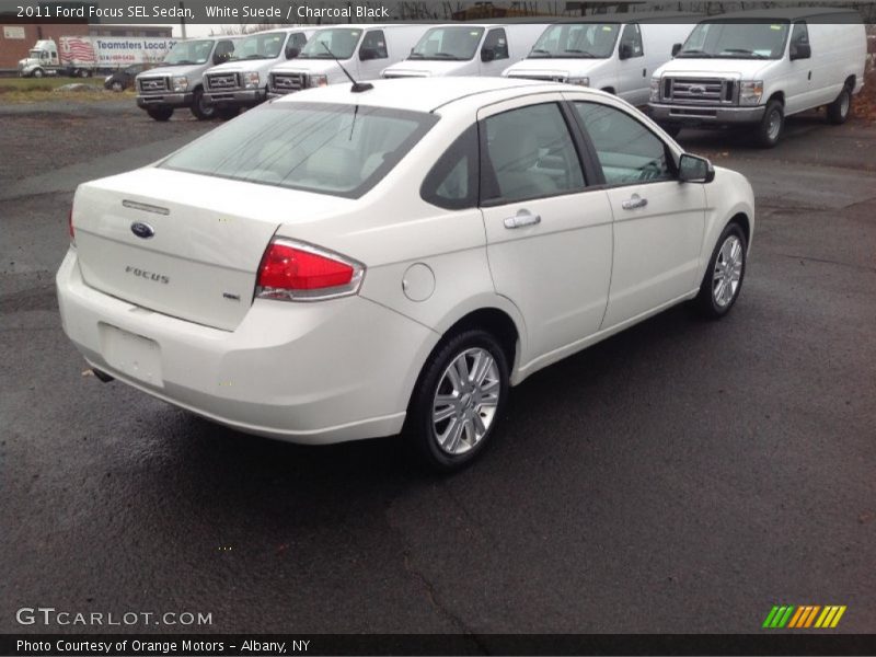 White Suede / Charcoal Black 2011 Ford Focus SEL Sedan
