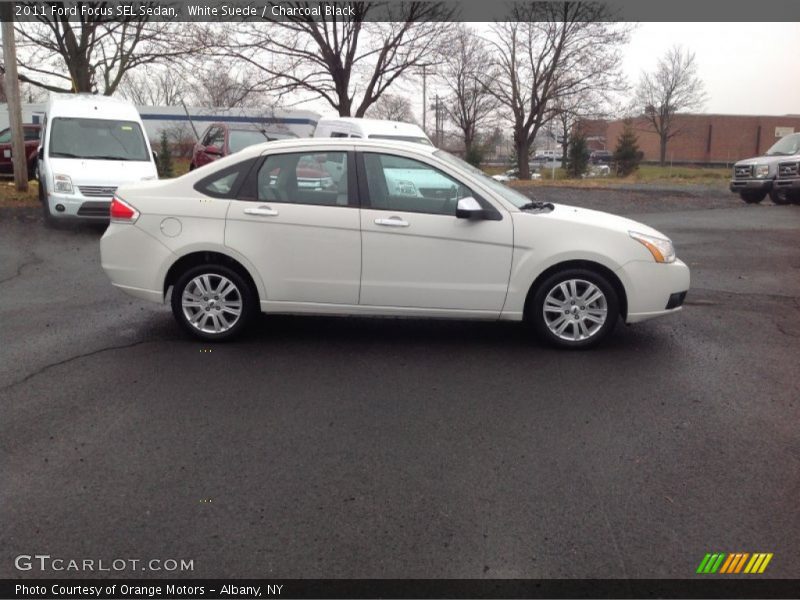 White Suede / Charcoal Black 2011 Ford Focus SEL Sedan