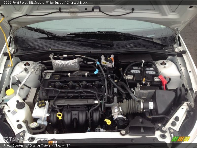 White Suede / Charcoal Black 2011 Ford Focus SEL Sedan
