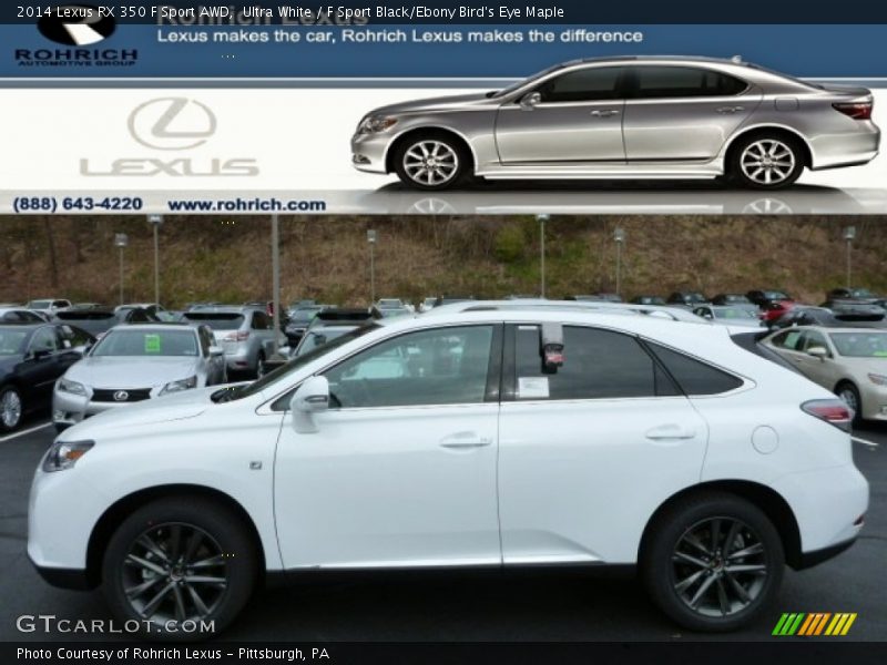 Ultra White / F Sport Black/Ebony Bird's Eye Maple 2014 Lexus RX 350 F Sport AWD