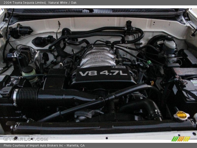 Natural White / Oak 2004 Toyota Sequoia Limited