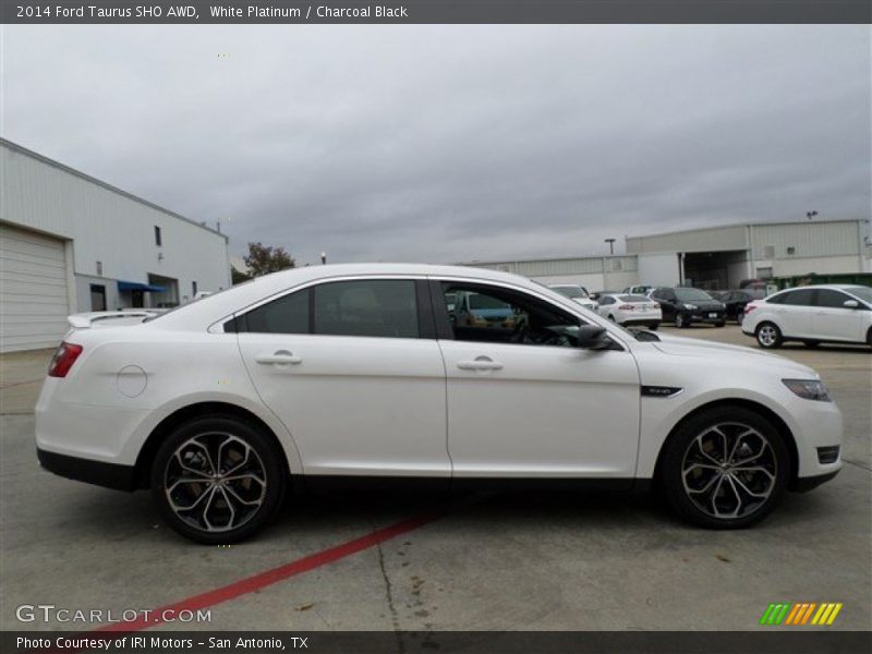  2014 Taurus SHO AWD White Platinum