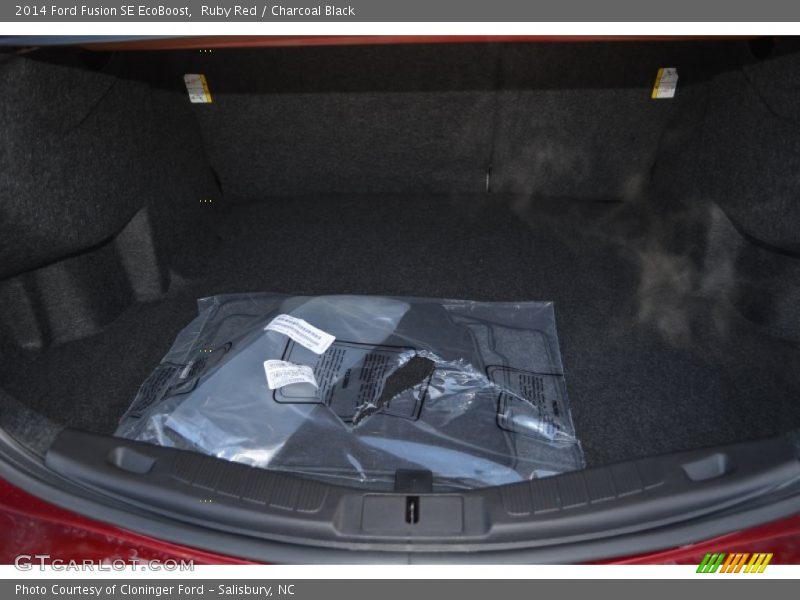 Ruby Red / Charcoal Black 2014 Ford Fusion SE EcoBoost