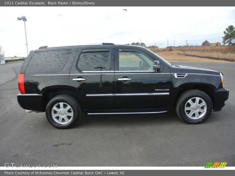 Black Raven / Ebony/Ebony 2011 Cadillac Escalade