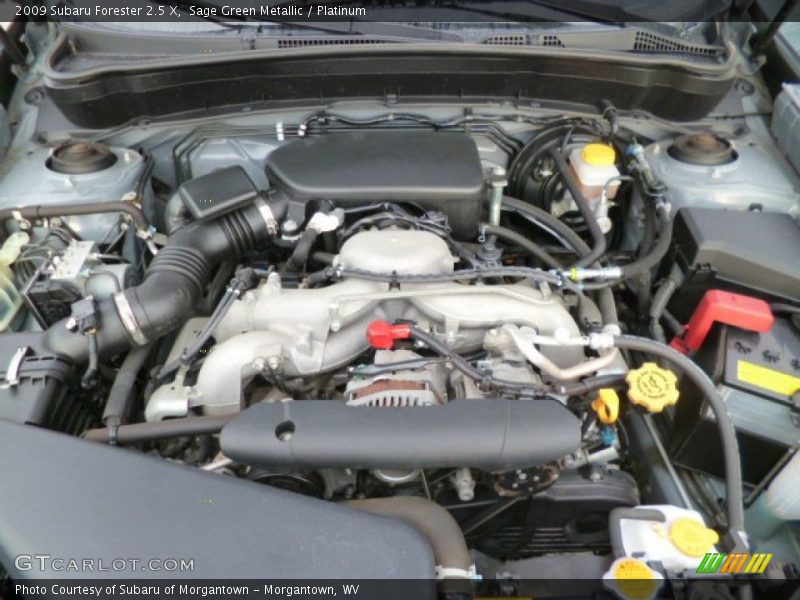 Sage Green Metallic / Platinum 2009 Subaru Forester 2.5 X
