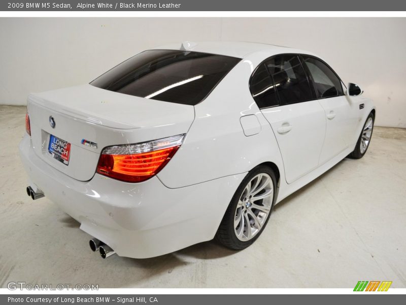 Alpine White / Black Merino Leather 2009 BMW M5 Sedan