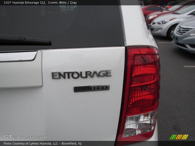 Cosmic White / Gray 2007 Hyundai Entourage GLS