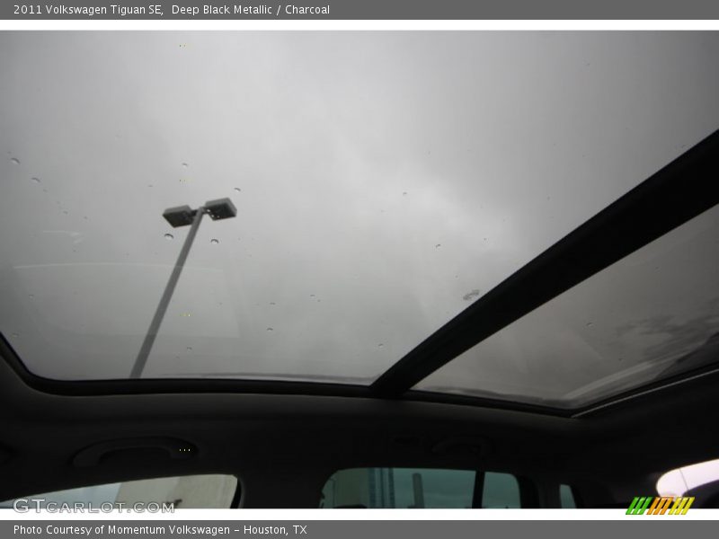 Deep Black Metallic / Charcoal 2011 Volkswagen Tiguan SE
