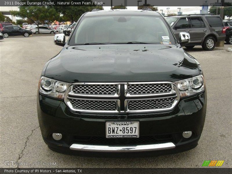 Natural Green Pearl / Black 2011 Dodge Durango Citadel