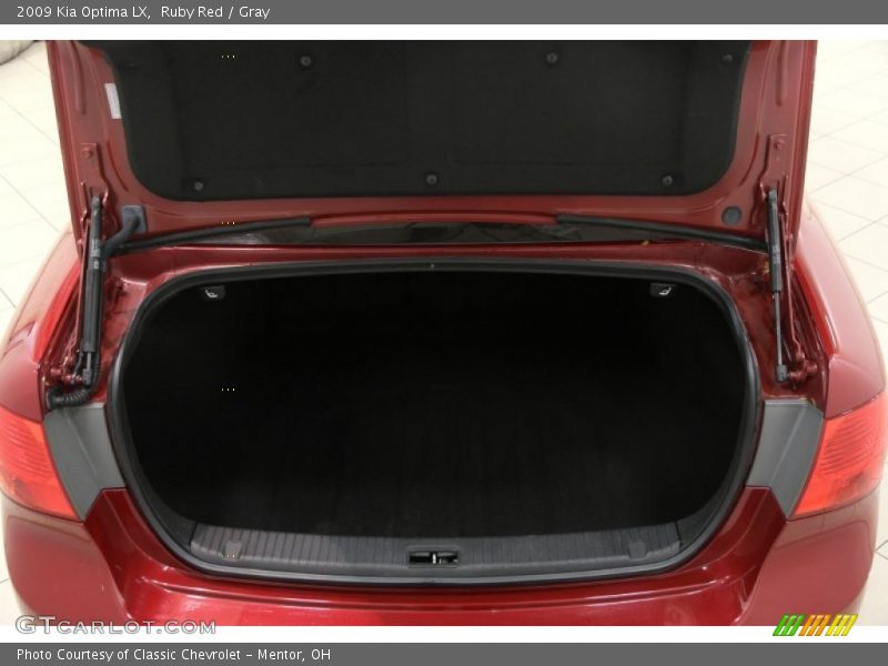 Ruby Red / Gray 2009 Kia Optima LX