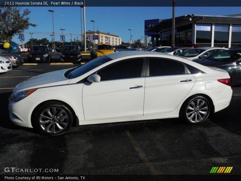 Pearl White / Black 2011 Hyundai Sonata SE