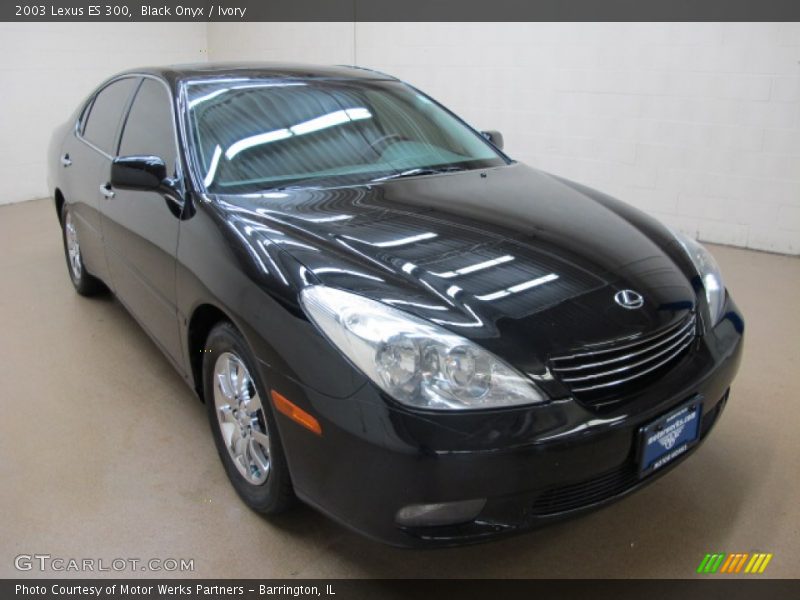 Black Onyx / Ivory 2003 Lexus ES 300