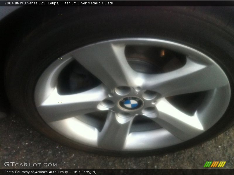 Titanium Silver Metallic / Black 2004 BMW 3 Series 325i Coupe