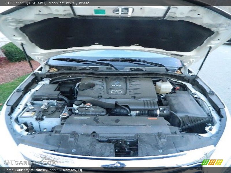Moonlight White / Wheat 2012 Infiniti QX 56 4WD
