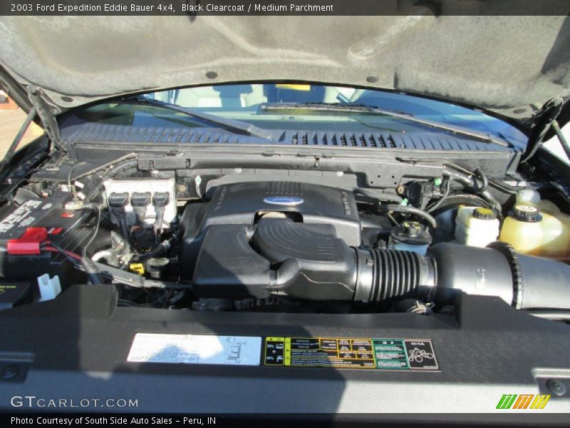 Black Clearcoat / Medium Parchment 2003 Ford Expedition Eddie Bauer 4x4