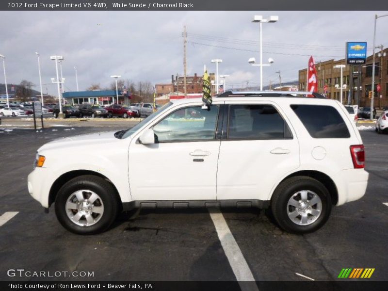 White Suede / Charcoal Black 2012 Ford Escape Limited V6 4WD