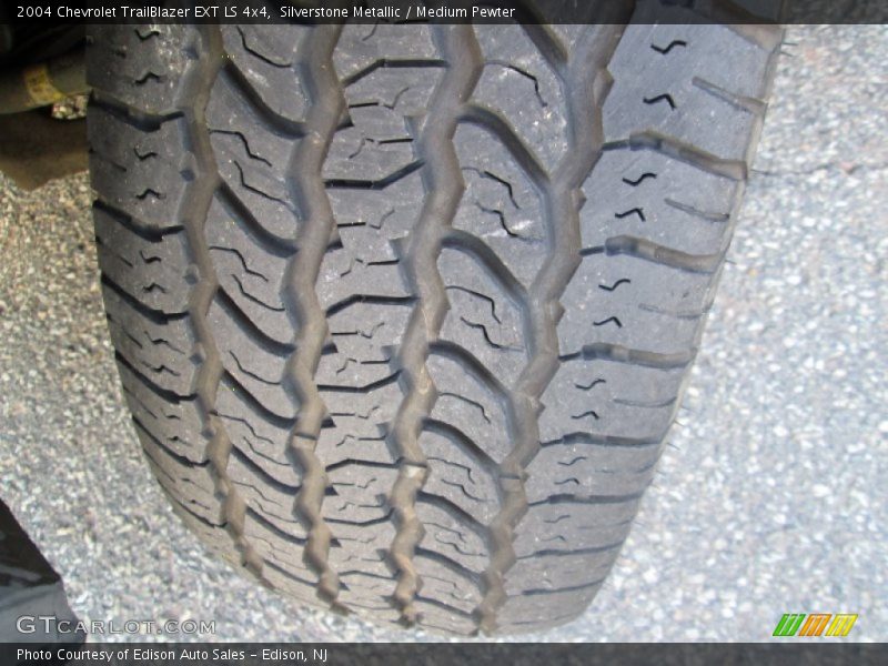 Silverstone Metallic / Medium Pewter 2004 Chevrolet TrailBlazer EXT LS 4x4