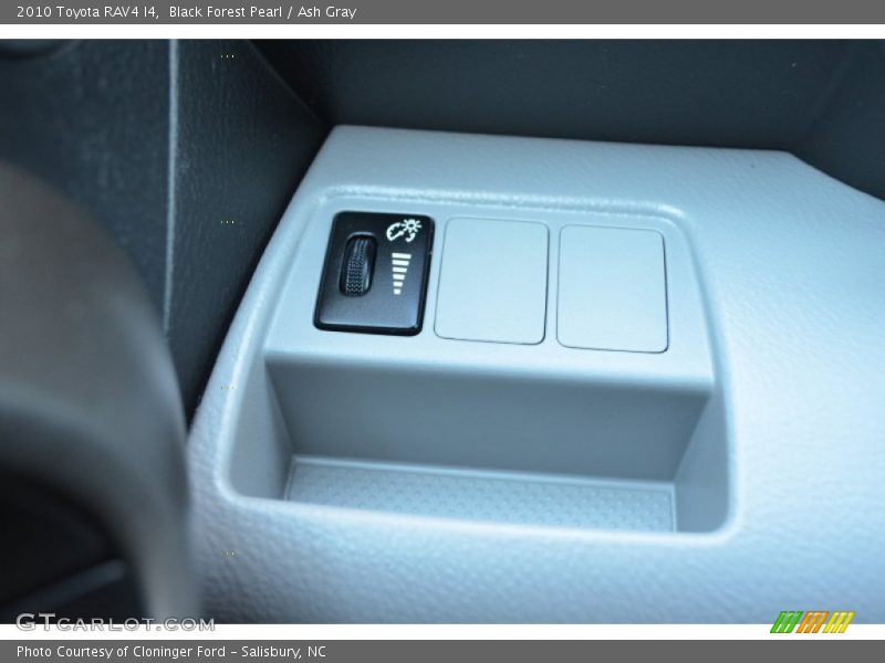 Black Forest Pearl / Ash Gray 2010 Toyota RAV4 I4