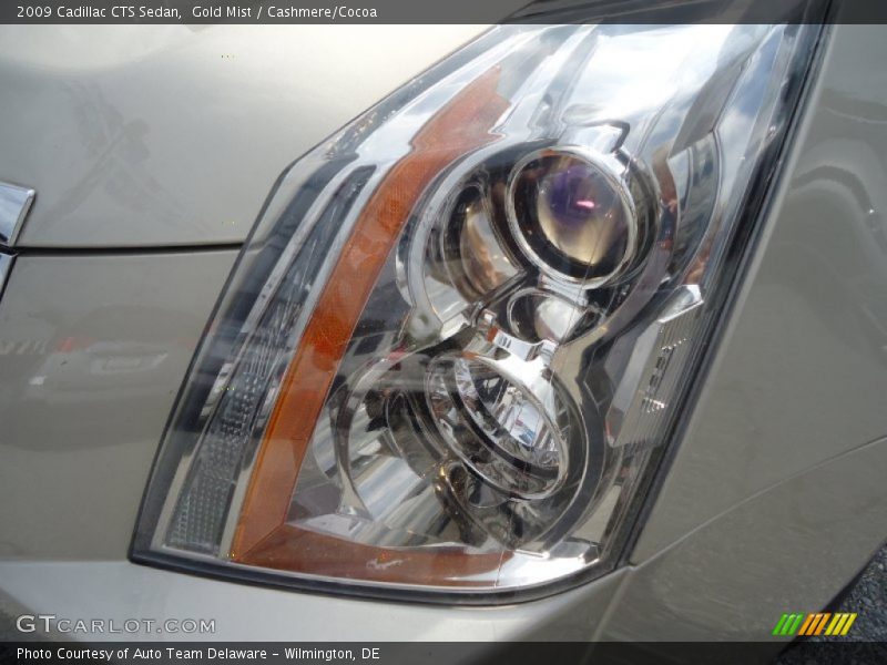 Gold Mist / Cashmere/Cocoa 2009 Cadillac CTS Sedan