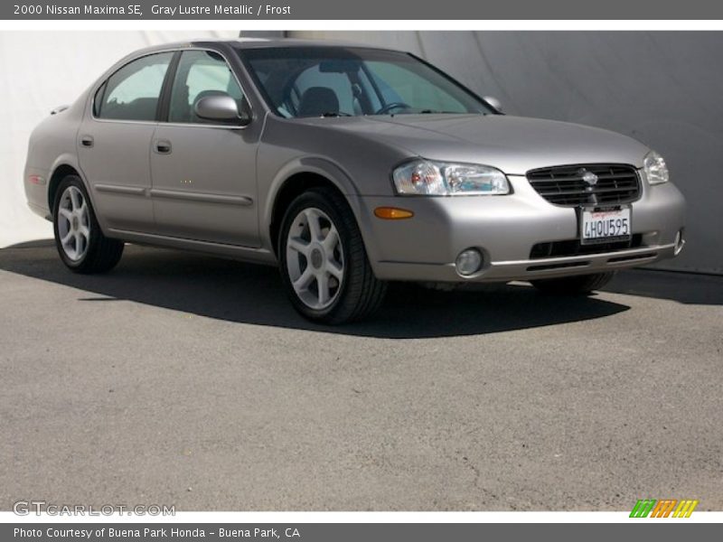 Gray Lustre Metallic / Frost 2000 Nissan Maxima SE