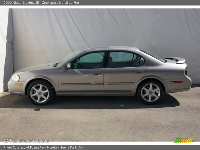 Gray Lustre Metallic / Frost 2000 Nissan Maxima SE