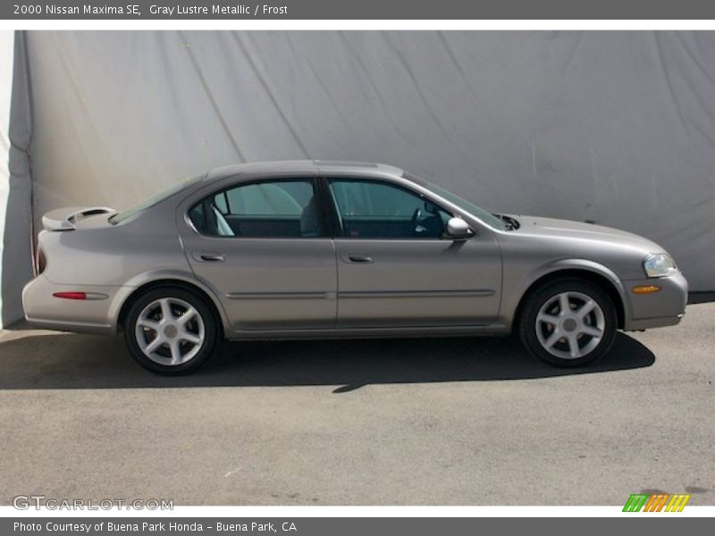Gray Lustre Metallic / Frost 2000 Nissan Maxima SE