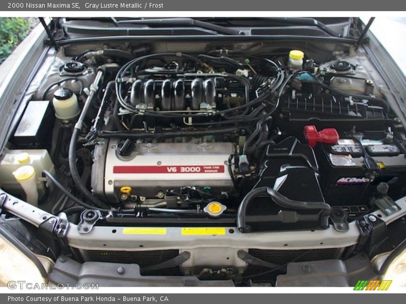 Gray Lustre Metallic / Frost 2000 Nissan Maxima SE