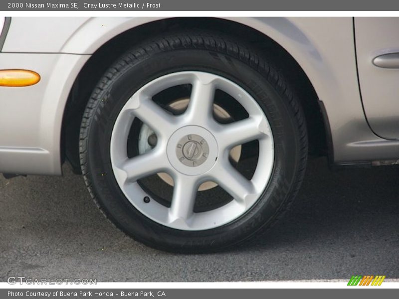Gray Lustre Metallic / Frost 2000 Nissan Maxima SE