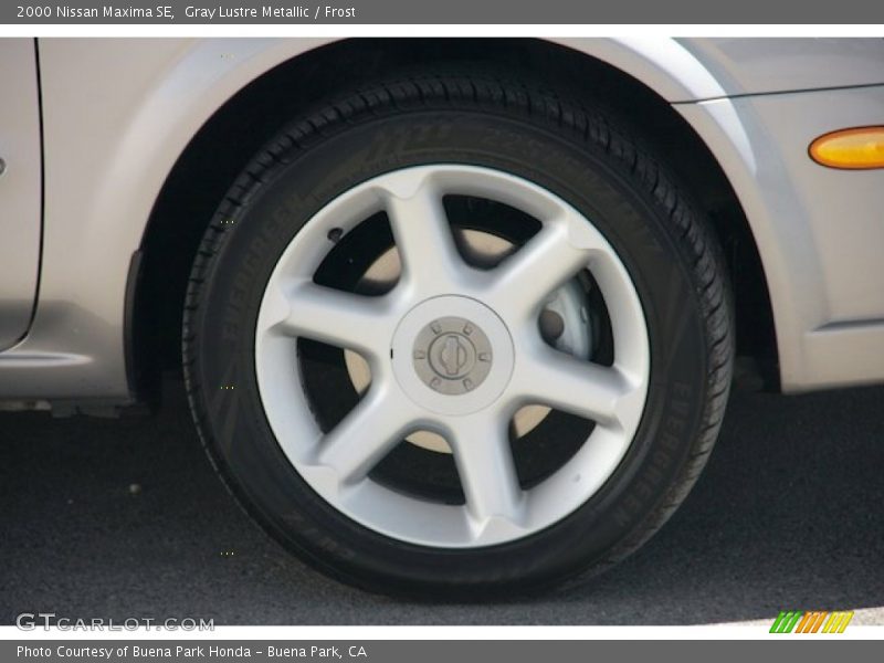 Gray Lustre Metallic / Frost 2000 Nissan Maxima SE