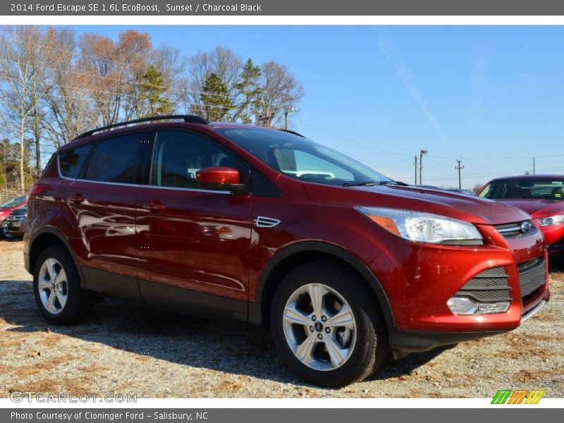 Sunset / Charcoal Black 2014 Ford Escape SE 1.6L EcoBoost