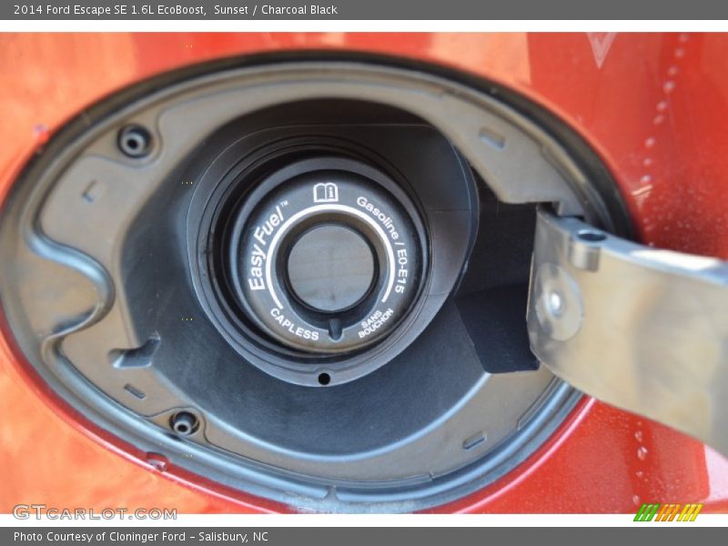 Sunset / Charcoal Black 2014 Ford Escape SE 1.6L EcoBoost