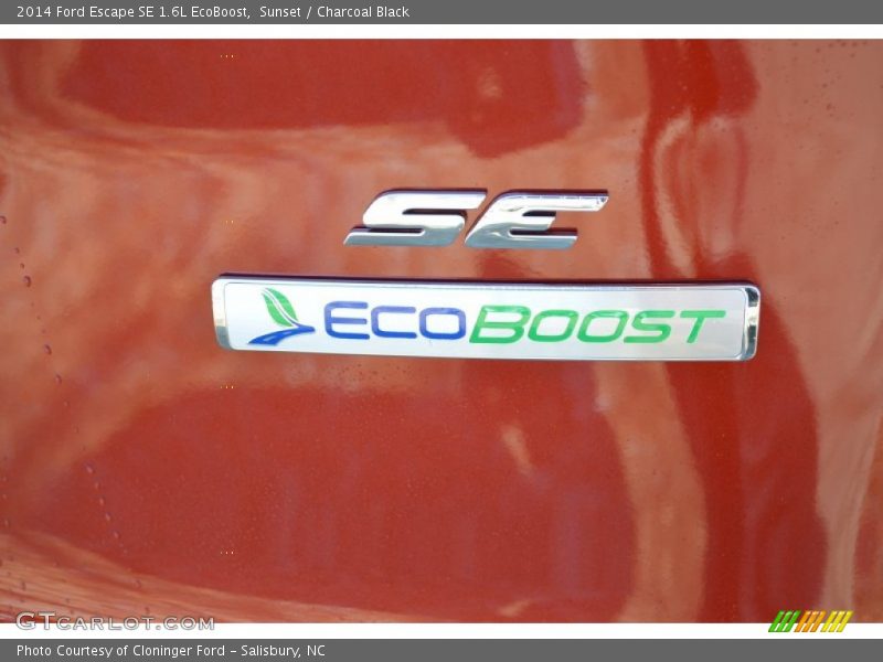 Sunset / Charcoal Black 2014 Ford Escape SE 1.6L EcoBoost