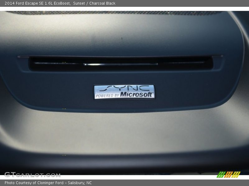 Sunset / Charcoal Black 2014 Ford Escape SE 1.6L EcoBoost