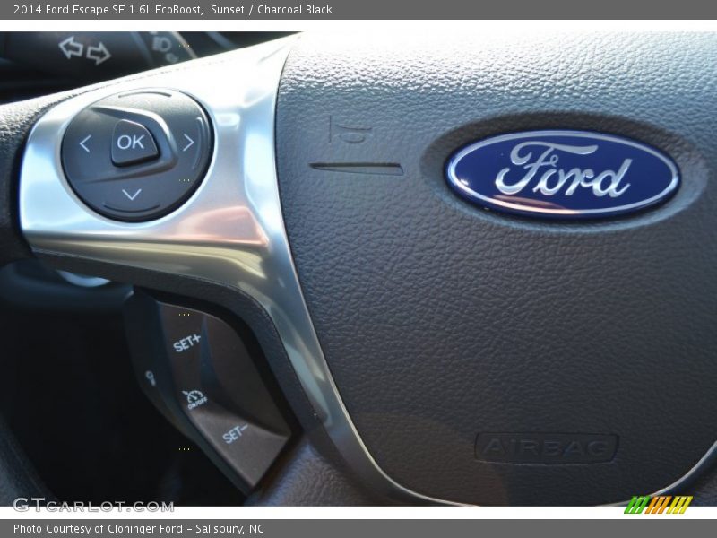 Sunset / Charcoal Black 2014 Ford Escape SE 1.6L EcoBoost