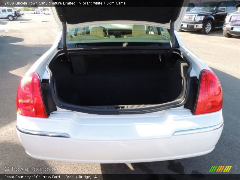 Vibrant White / Light Camel 2009 Lincoln Town Car Signature Limited