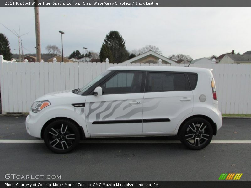 Clear White/Grey Graphics / Black Leather 2011 Kia Soul White Tiger Special Edition