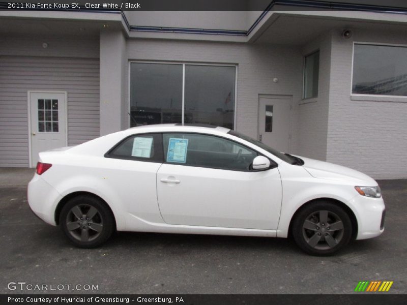 Clear White / Black 2011 Kia Forte Koup EX