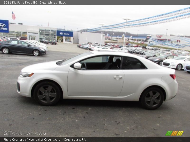 Clear White / Black 2011 Kia Forte Koup EX