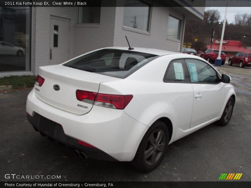 Clear White / Black 2011 Kia Forte Koup EX