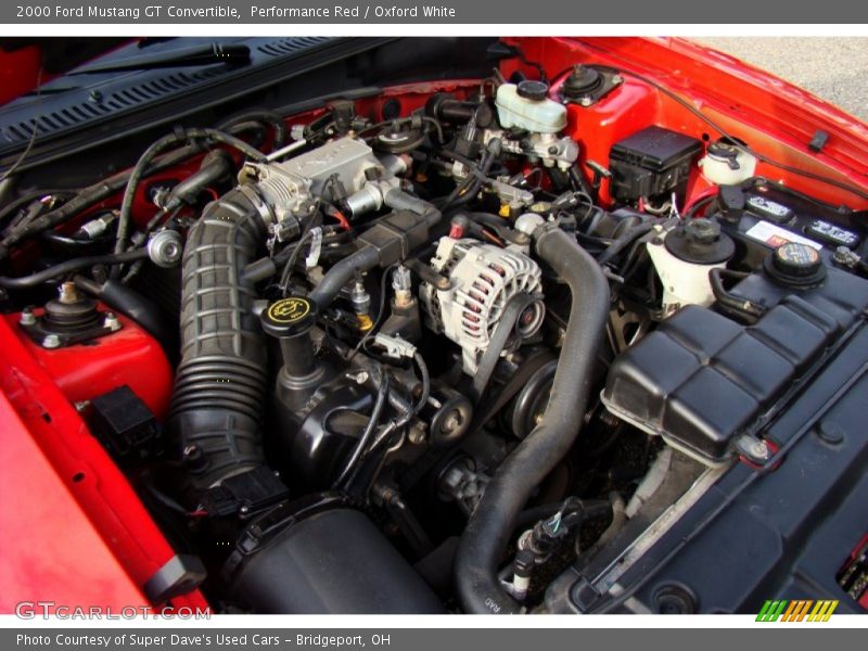 Performance Red / Oxford White 2000 Ford Mustang GT Convertible