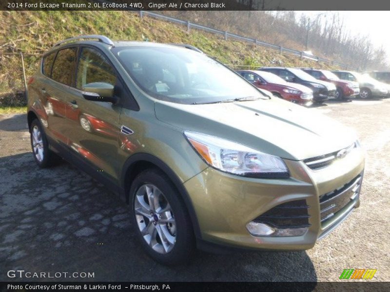 Ginger Ale / Charcoal Black 2014 Ford Escape Titanium 2.0L EcoBoost 4WD