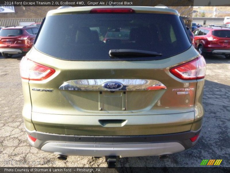 Ginger Ale / Charcoal Black 2014 Ford Escape Titanium 2.0L EcoBoost 4WD