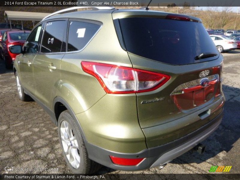 Ginger Ale / Charcoal Black 2014 Ford Escape Titanium 2.0L EcoBoost 4WD