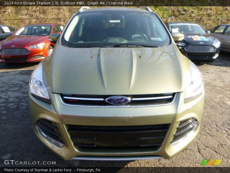 Ginger Ale / Charcoal Black 2014 Ford Escape Titanium 2.0L EcoBoost 4WD