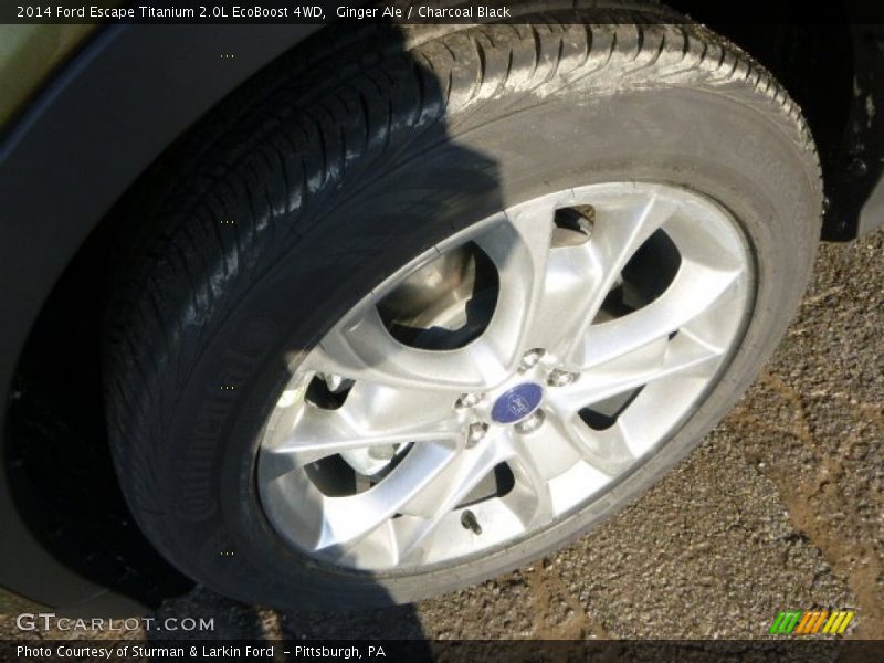 Ginger Ale / Charcoal Black 2014 Ford Escape Titanium 2.0L EcoBoost 4WD