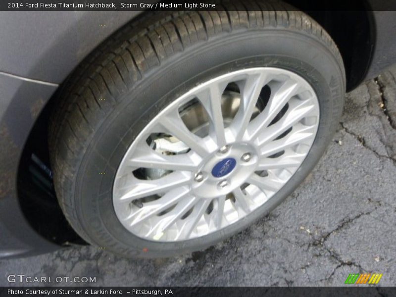 Storm Gray / Medium Light Stone 2014 Ford Fiesta Titanium Hatchback